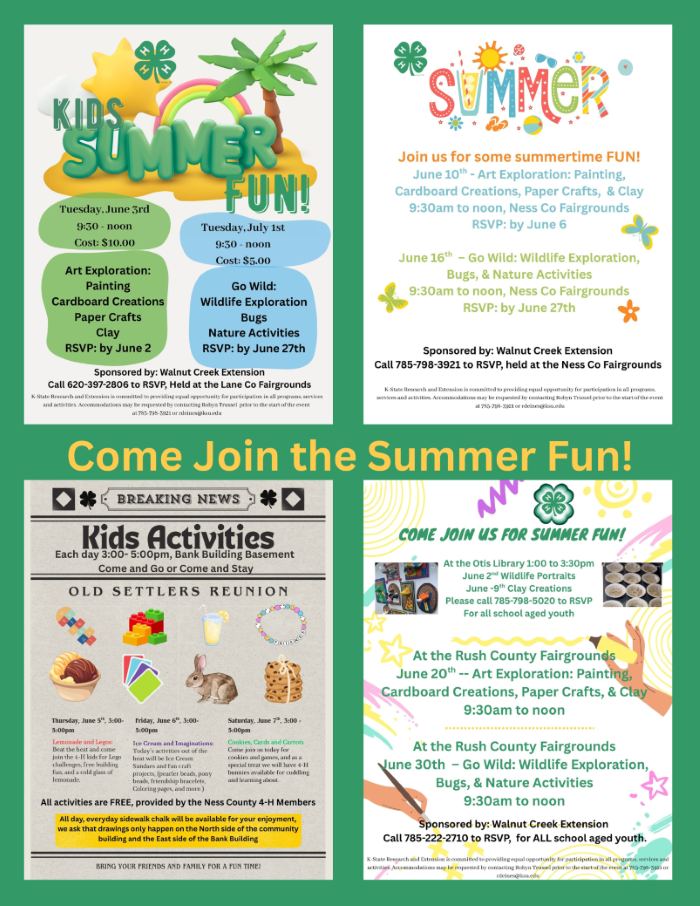 2025 Summer Day Camps