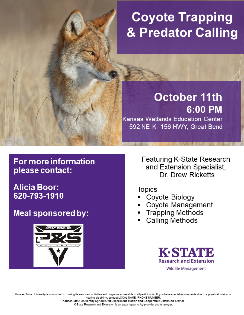 Coyote Oct 11